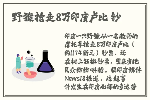 女人被舔底下的过程